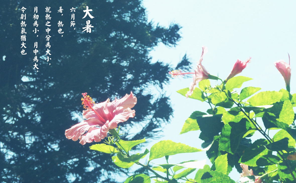 圖-大暑.png